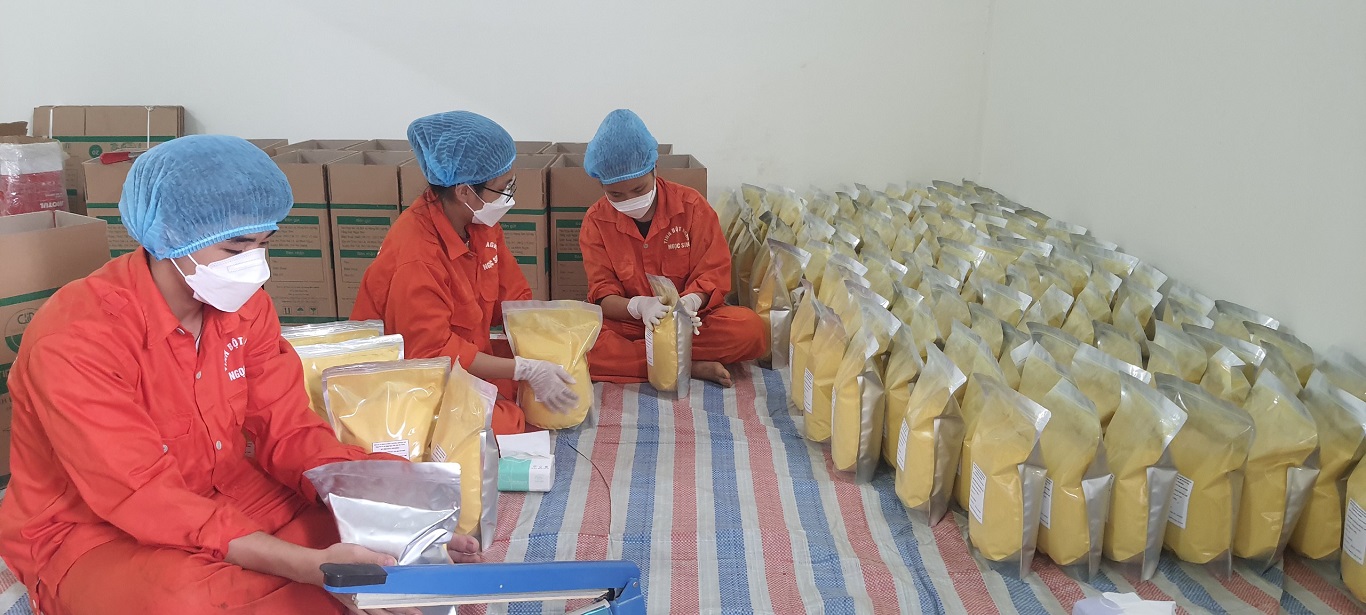 HTX dịch vụ nông lâm nghiệp Ngọc Sơn xuất khẩu nghệ vào thị trường Hà Nội