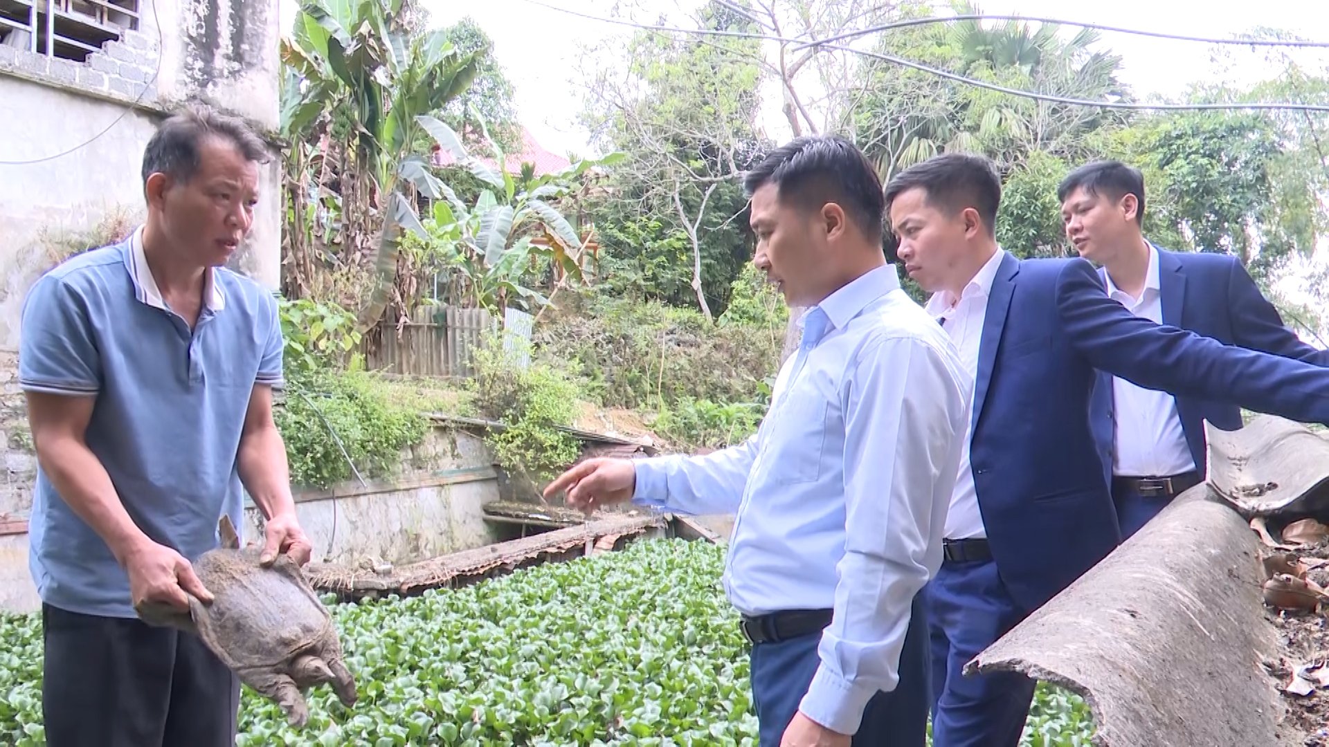Thường trực HĐND huyện khảo sát mô hình nuôi Ba ba tại xã Yên Định