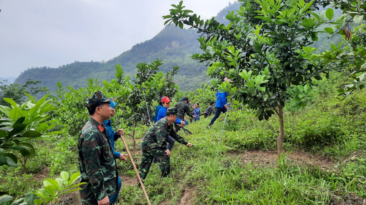 Ban chỉ huy Quân sự huyện Bắc Mê hỗ trợ giúp dân cải tạo vườn tạp