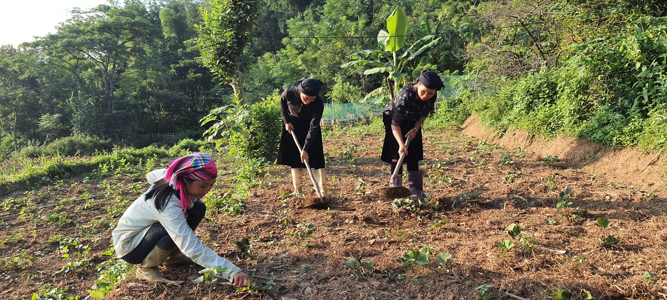 Xã Phú Nam thực hiện tốt chương trình cải tạo vườn tạp