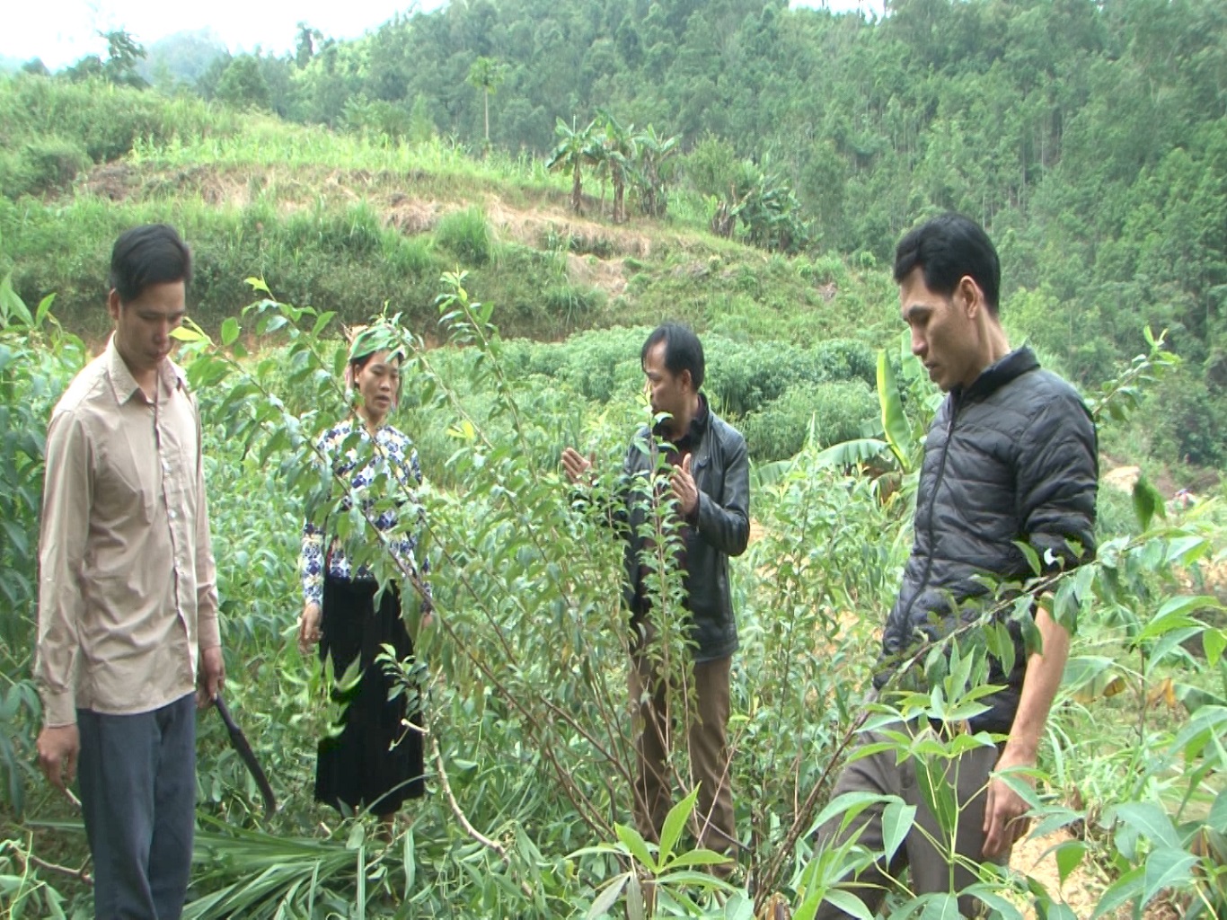Xã Phú Nam với chương trình cải tạo vườn tạp