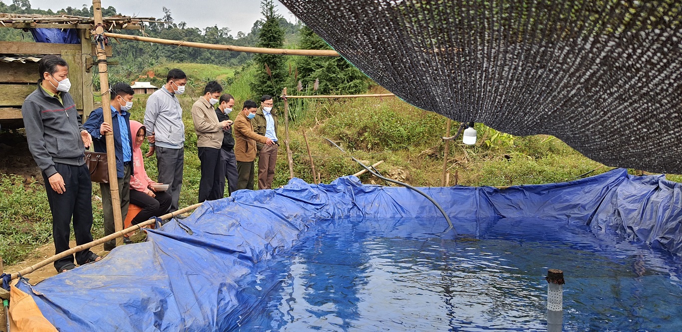 Phát triển nuôi cá hồi tại thôn Lùng Éo thị trấn Yên Phú