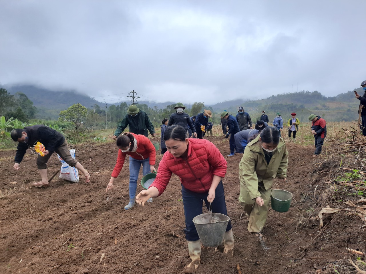 Xã Đường Âm ra quân xuống đồng gieo trồng ngô vụ xuân năm 2022
