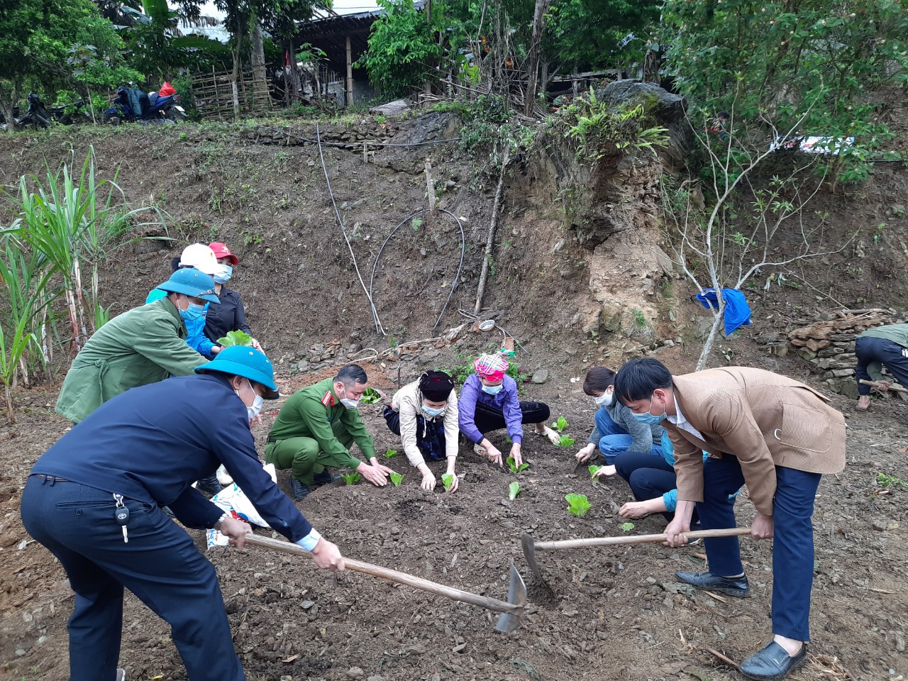 Xã Phú Nam phát động trồng cây xanh và cải tạo vườn tạp