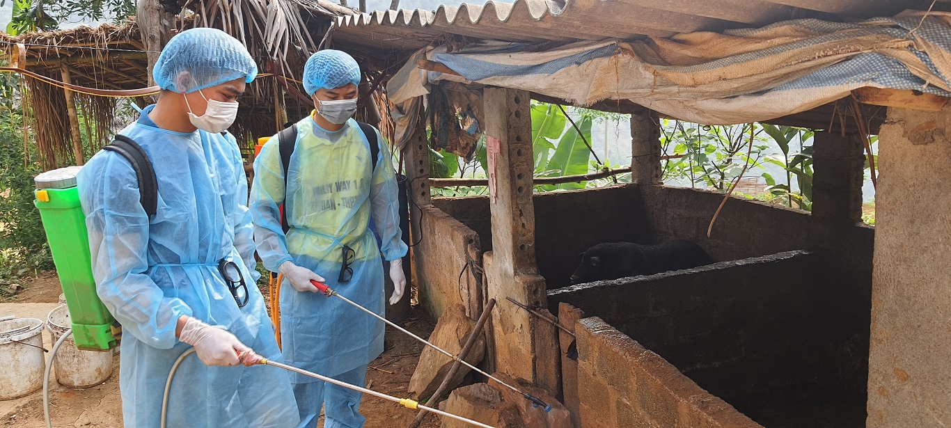 Thị trấn Yên Phú phát động phun thuốc tiêu độc khử trùng phòng chống dịch bệnh cho đàn gia súc