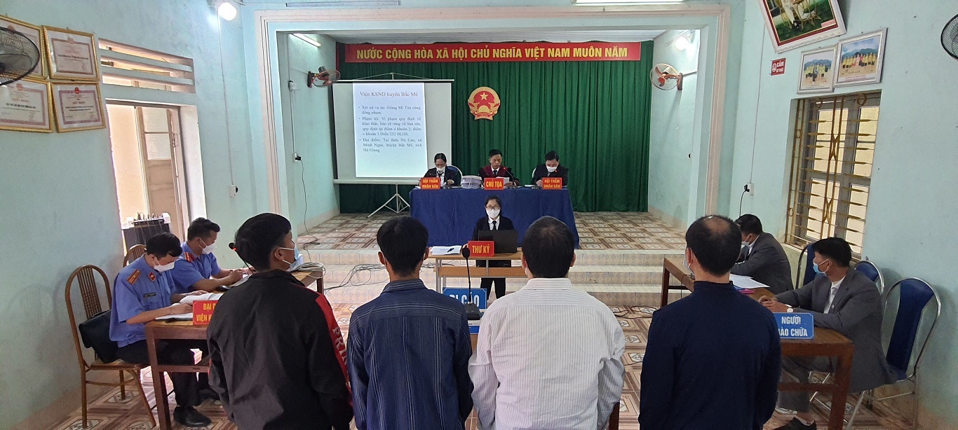 Tòa án nhân dân huyện Bắc Mê xét xử lưu động công khai vụ án khai thác lâm sản trái pháp luật