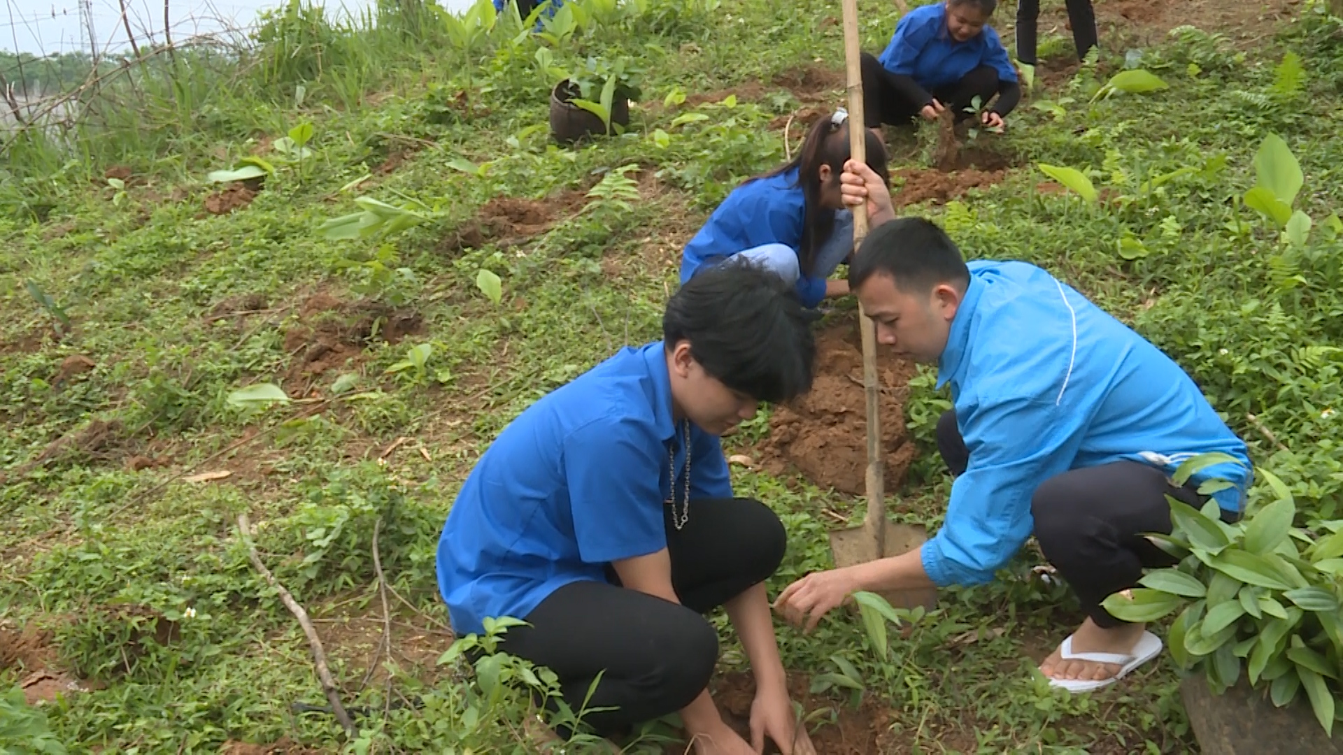 Thanh niên xã Đường Âm với phong trào trồng rừng phát triển kinh tế