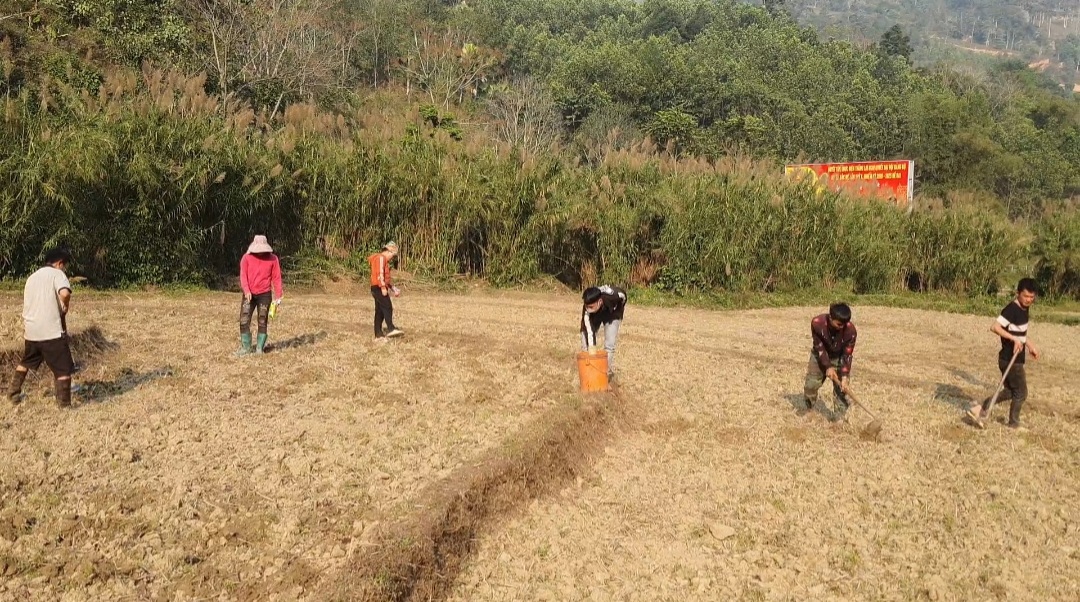 Nông dân xã Yên Định xuống đồng trồng cây vụ xuân