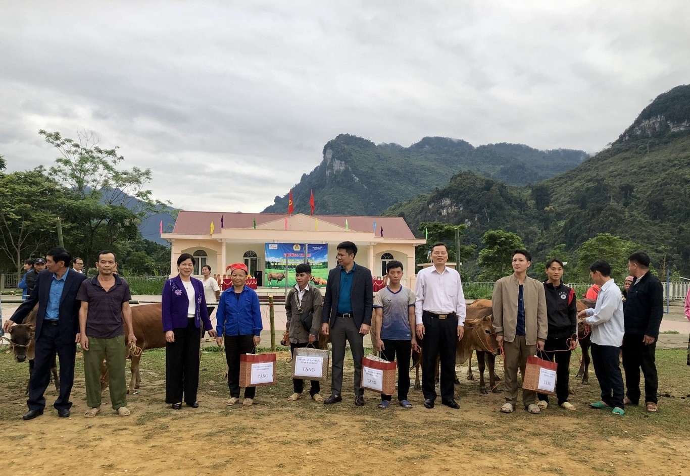 Bàn giao bò sinh sản cho các hộ nghèo tại xã Thượng Tân, huyện Bắc Mê