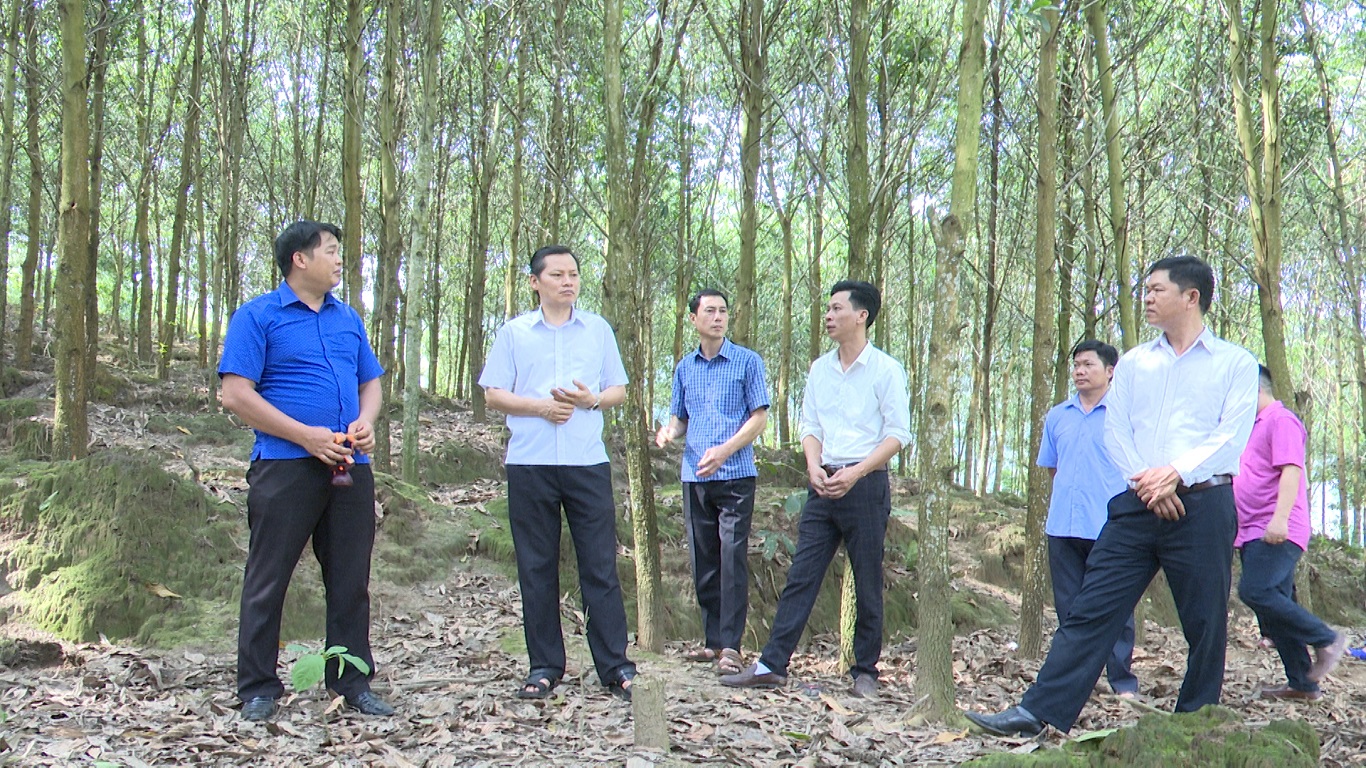 Đồng chí Bùi Văn Tuân Bí thư Huyện ủy thăm mô hình phát triển kinh tế tại thị trấn Yên Phú