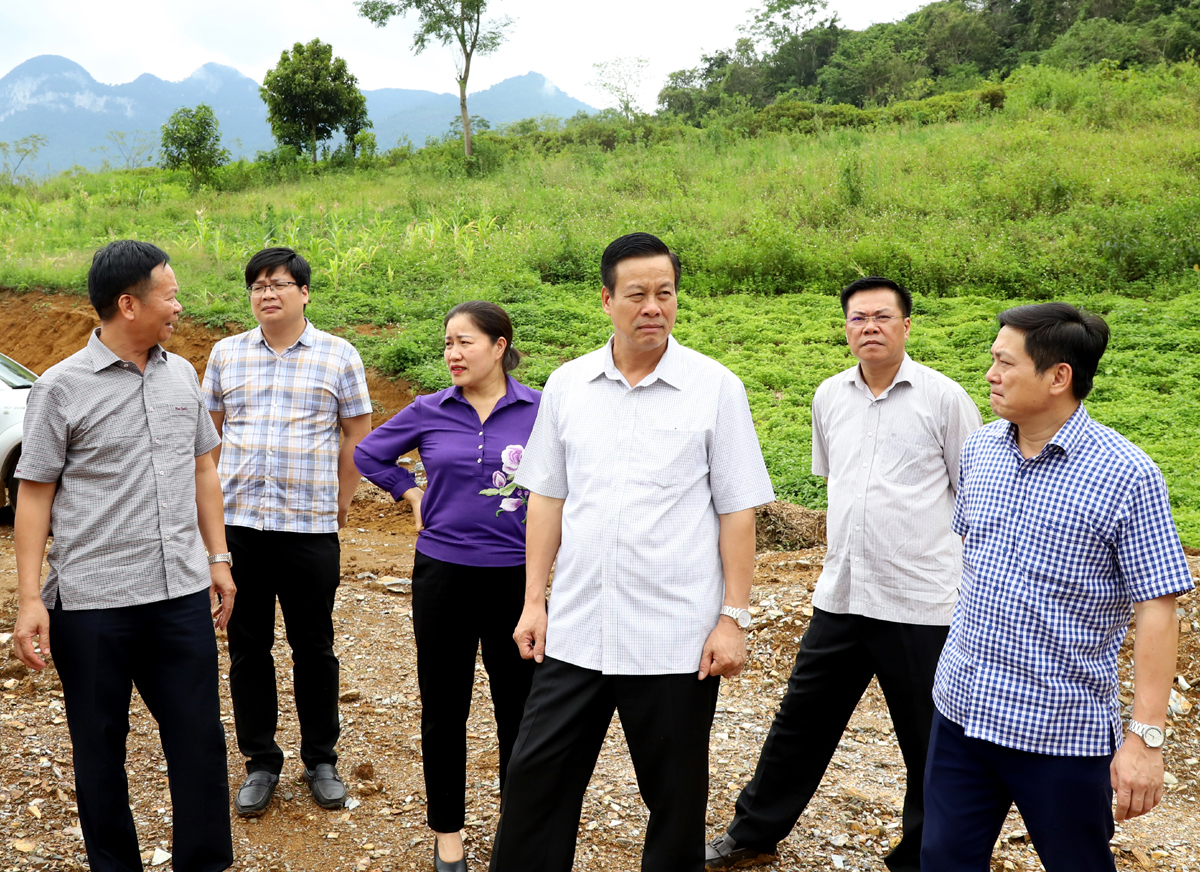 Chủ tịch UBND tỉnh Nguyễn Văn Sơn kiểm tra một số dự án tại xã Yên Định và Thượng Tân